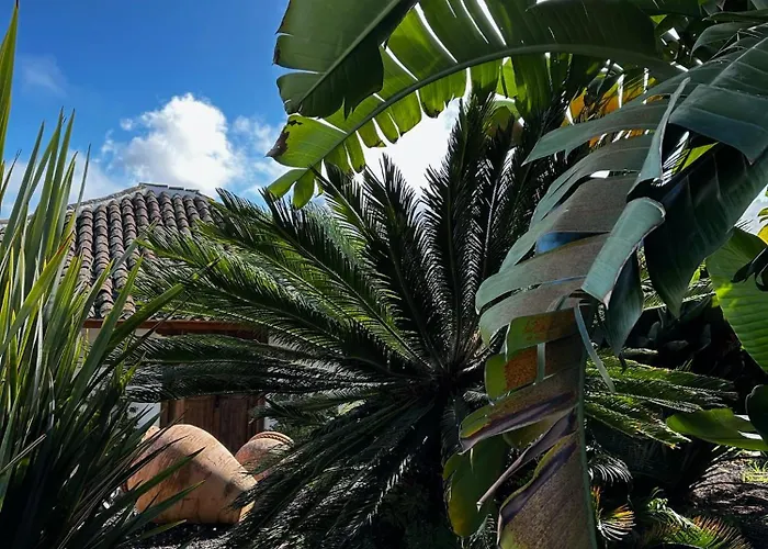 La Paredita Casa Abona El Tanque